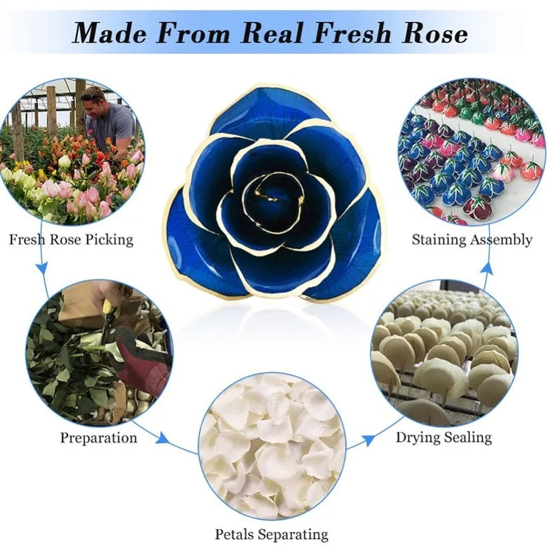 24K Gold Plated Rose - Eternal Valentine's Day Anniversary Gift