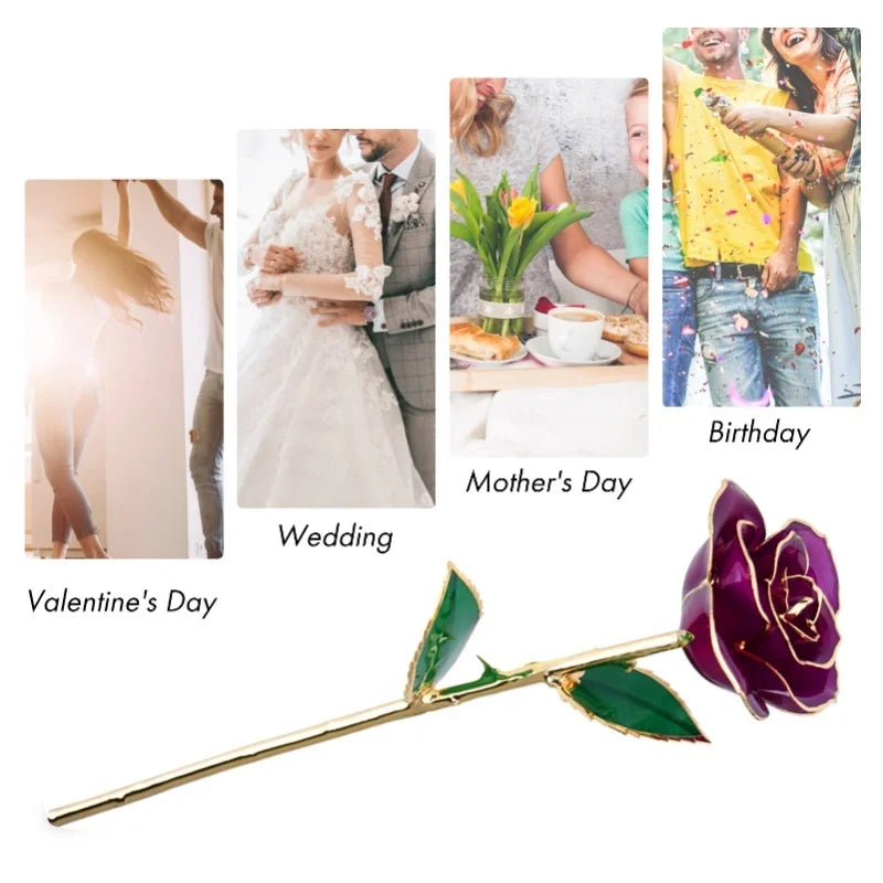 24K Gold Plated Rose - Eternal Valentine's Day Anniversary Gift