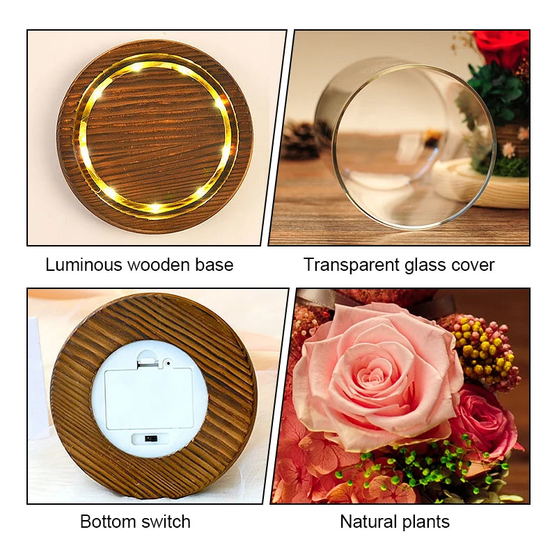 Eternal Rose in Glass Dome with LED Lights - Mother's Day or Valentine's Gift