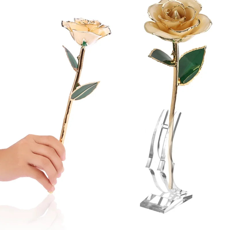 24K Gold Plated Rose - Eternal Valentine's Day Anniversary Gift