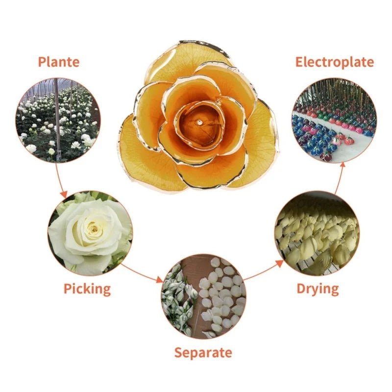 24K Gold Plated Rose - Eternal Valentine's Day Anniversary Gift