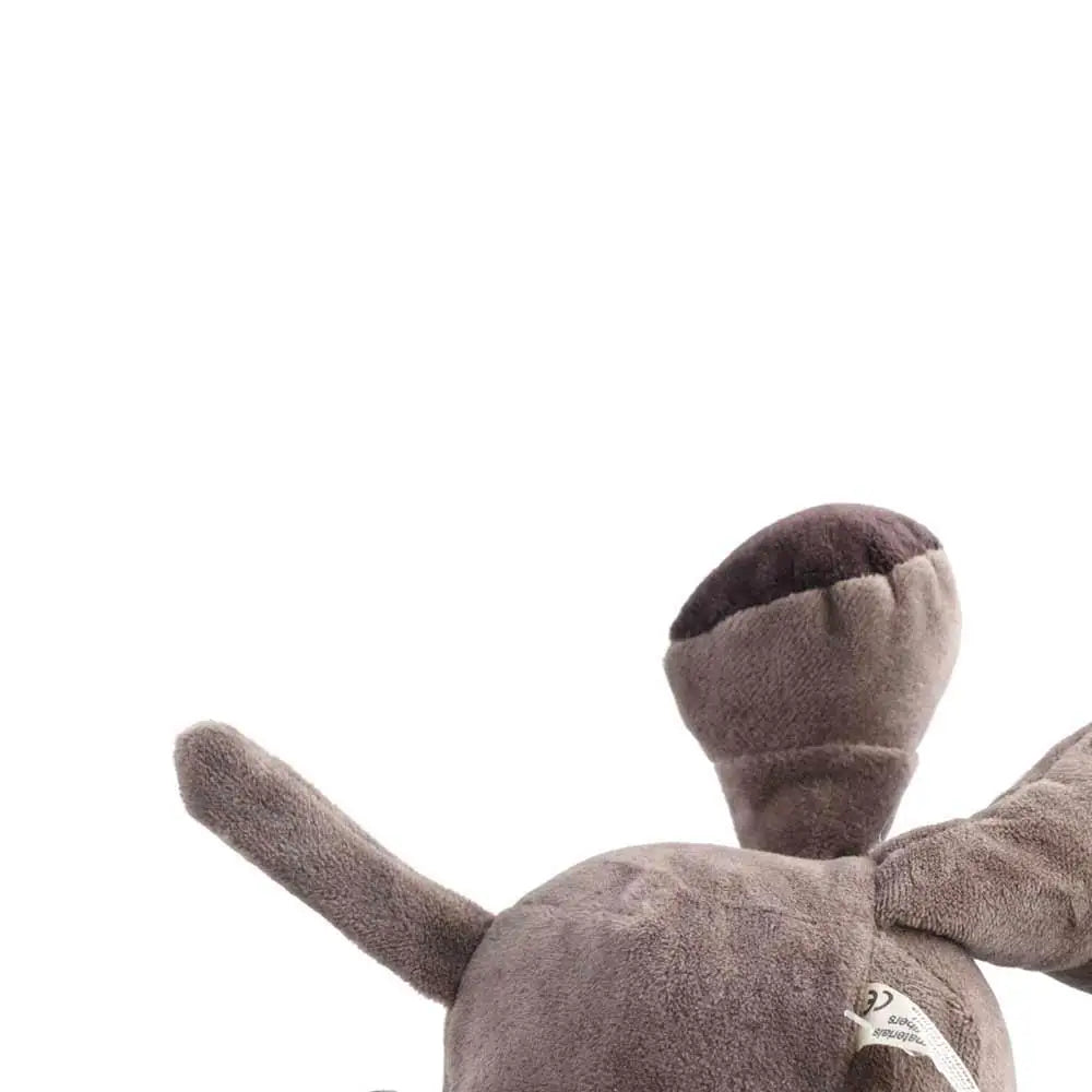 Dog Birthday Gifts Animals Lion Raccoon Giraffe Monkey   Stuffed   Animal