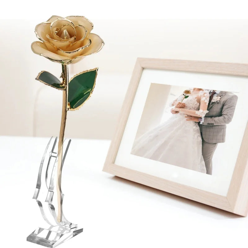 24K Gold Plated Rose - Eternal Valentine's Day Anniversary Gift