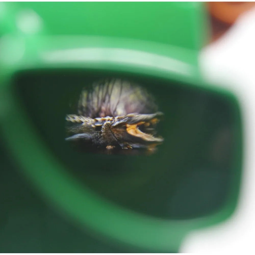 Kids 3D Viewer Educational Toy – Mini Theatre 3D Viewing Machine