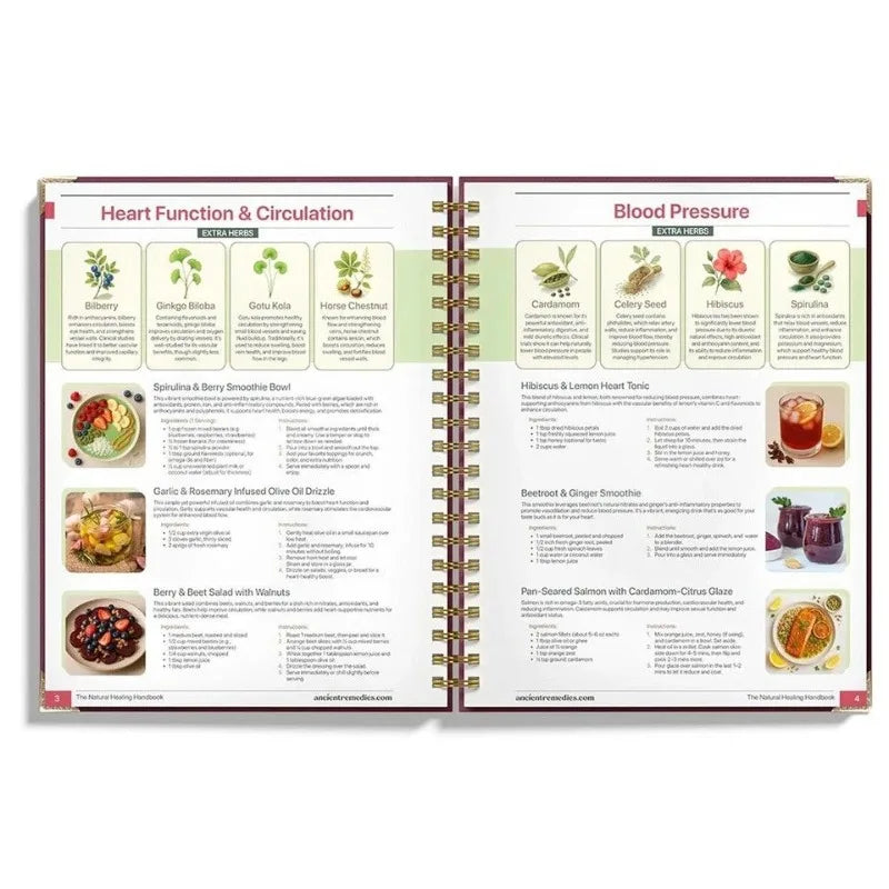 The Natural Healing Handbook - Herbal Remedies and Natural Recipes